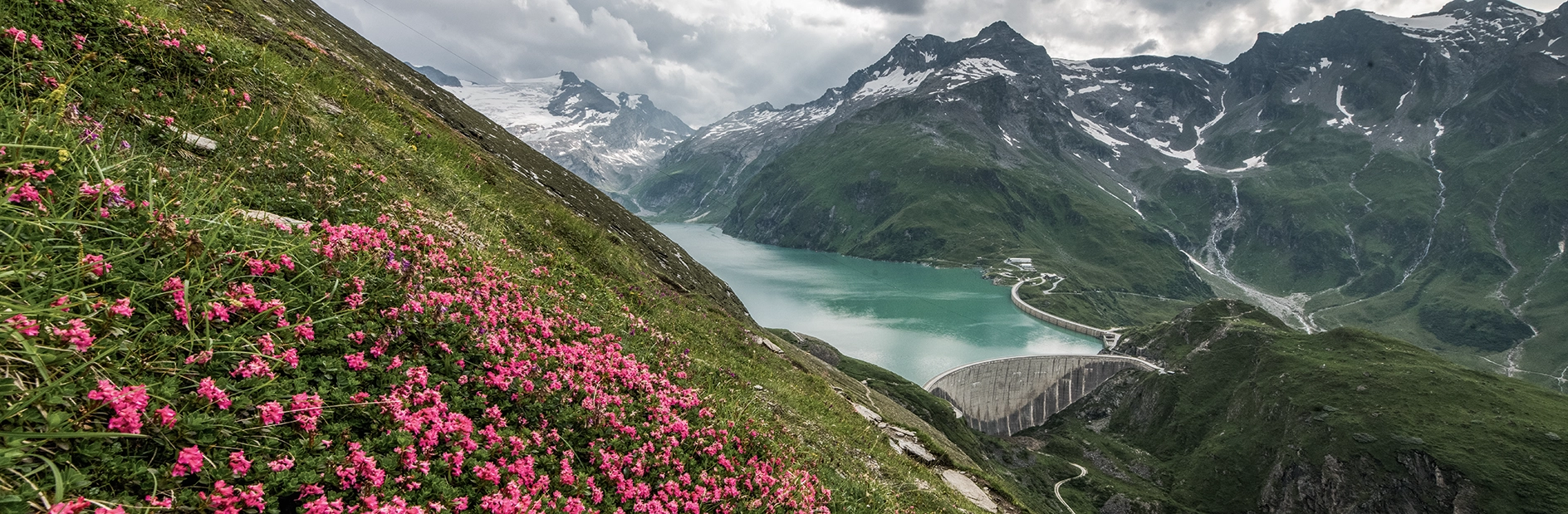 Wir befinden uns auf einem der umstehende Berger in der Nähe der Kapruner Staumauer. Die Wiesen sind überzogen von magentafarbenen Blüten. Der Staussee liegt mächtig im Mittelpunkt und strahl durch seinen türkisfarbenes Wasser. Gräuliche Wolken umspielen die umliegenden Bergspitzen.